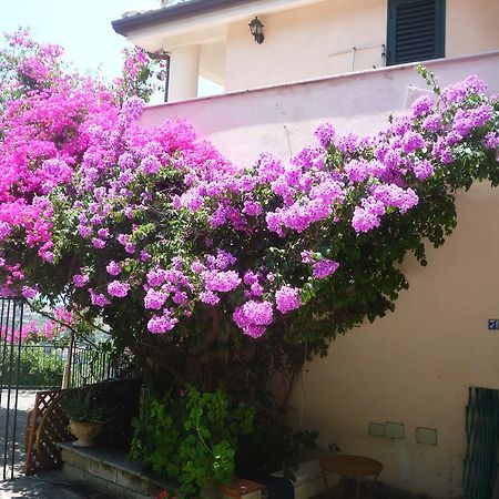 Villa Panthea Capo Vaticano Kültér fotó