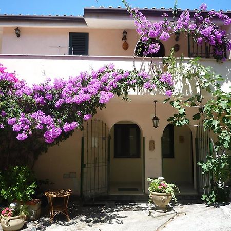 Villa Panthea Capo Vaticano Kültér fotó